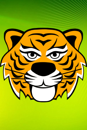 Маски Тигра на Новый 2022 год