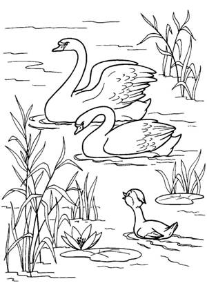 по сказкам Андерсена раскраска 1