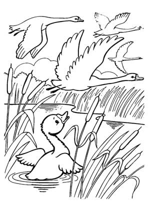 по сказкам Андерсена раскраска 6