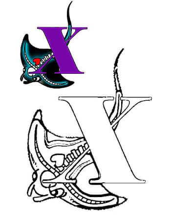 Раскраски Английский алфавит с образцом Английский алфавит с образцом