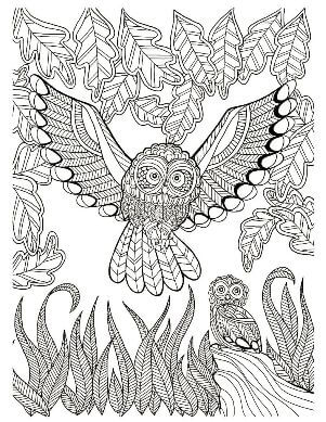 Раскраски Антистресс Совы Антистресс Совы
