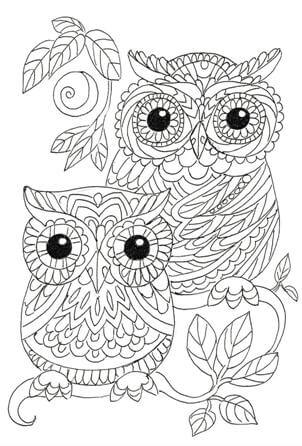 Раскраски Антистресс Совы Антистресс Совы