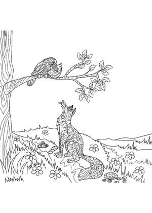 Ворона и Лисица – раскраска 11