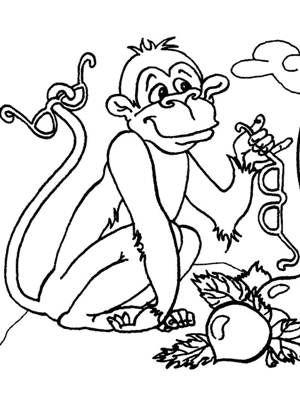 Мартышка и Очки – раскраска 31