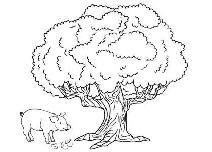 Свинья под дубом – раскраска 34