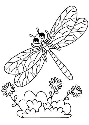 Стрекоза и Муравей – раскраска 46