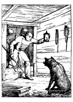 Волк на псарне – раскраска 8