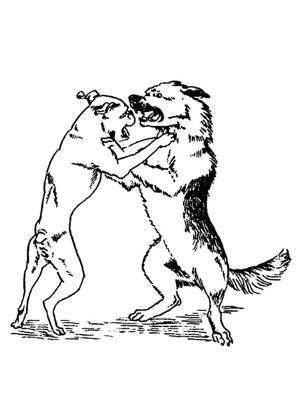 Волк на псарне – раскраска 9