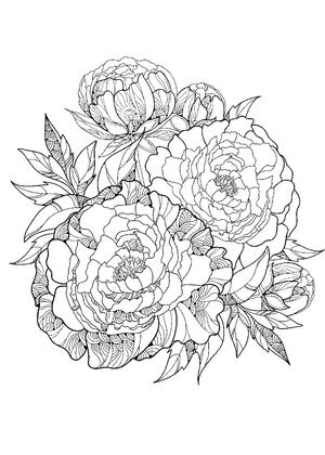 Букеты цветов — раскраска 14