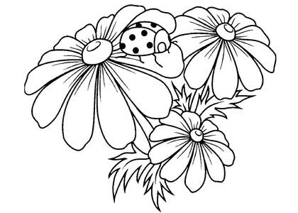 Букеты цветов — раскраска 21