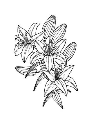 Букеты цветов — раскраска 7