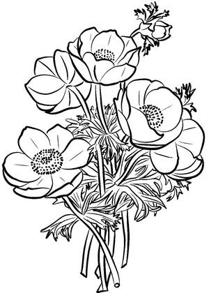 Букеты цветов — раскраска 8