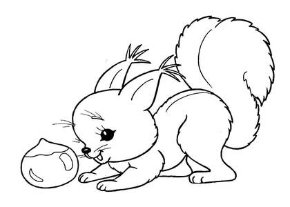 Раскраски Дикие животные Дикие животные – раскраска 10