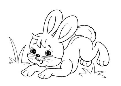 Раскраски Дикие животные Дикие животные – раскраска 3