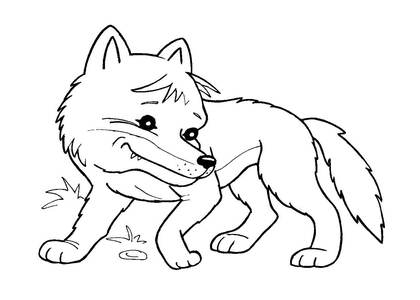 Раскраски Дикие животные Дикие животные – раскраска 6