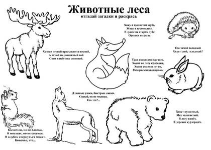 Раскраски Дикие животные Дикие животные – раскраска 8