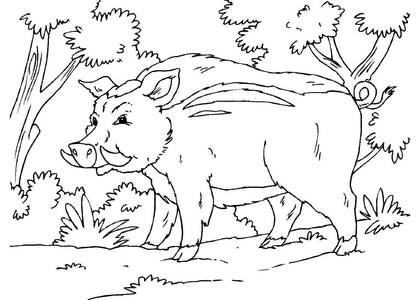 Раскраски Дикие животные Дикие животные – раскраска 9