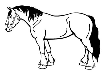 Домашние животные – раскраска 10