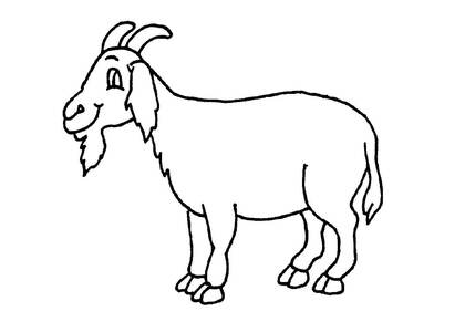 Домашние животные – раскраска 11