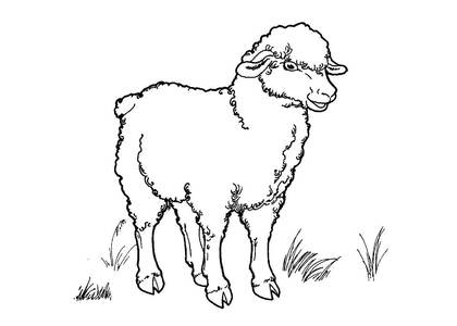 Домашние животные – раскраска 12