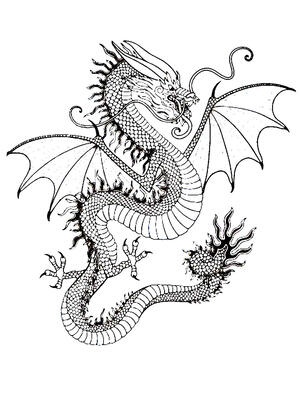 Драконы — раскраска 14