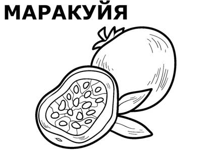 Фрукты раскраска 22