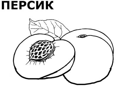 Фрукты раскраска 25