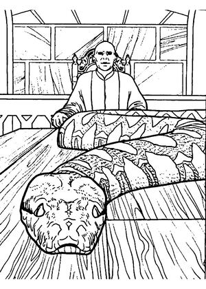 Раскраски Гарри Поттер Гарри Поттер — раскраска 11