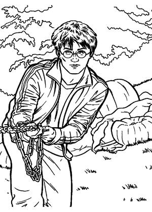 Раскраски Гарри Поттер Гарри Поттер — раскраска 14