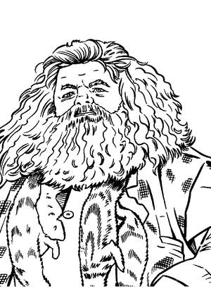 Раскраски Гарри Поттер Гарри Поттер — раскраска 23