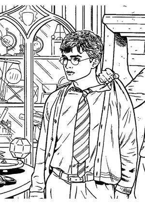 Раскраски Гарри Поттер Гарри Поттер — раскраска 6