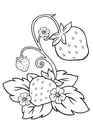 Хохлома – раскраска 10