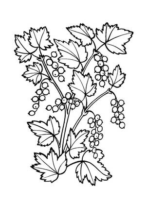 Хохлома – раскраска 23