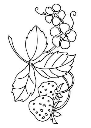 Хохлома – раскраска 32