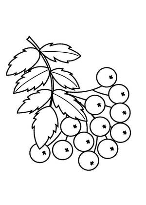 Хохлома – раскраска 36