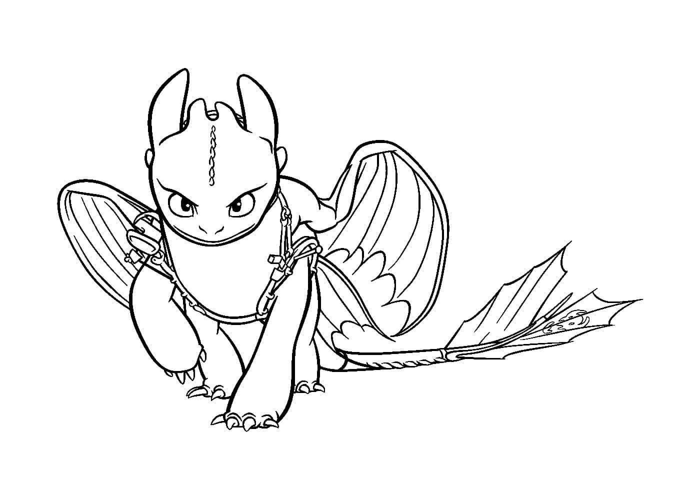 Как приручить дракона раскраска 11