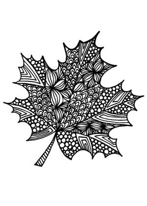 Кленовый лист – раскраска 1