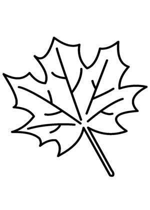 Кленовый лист – раскраска 13