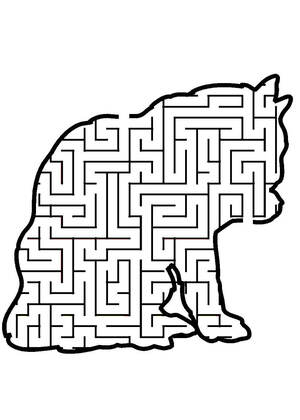Лабиринты – раскраска 9