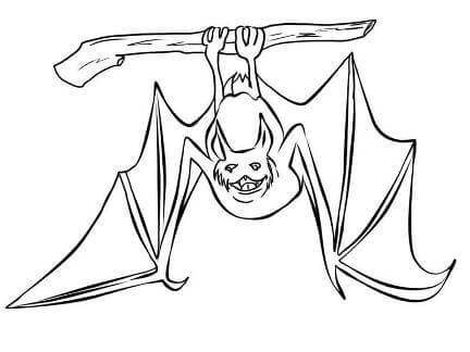 Летучие мыши на Хэллоуин