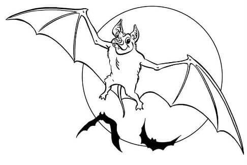 Летучие мыши на Хэллоуин