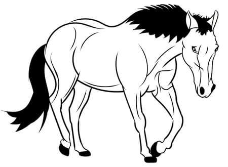 Раскраски Лошадь Лошадь