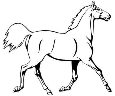 Раскраски Лошадь Лошадь