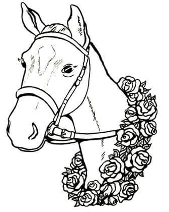 Раскраски Лошадь Лошадь