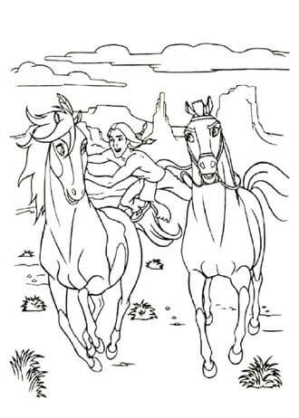 Раскраски Лошадь Лошадь