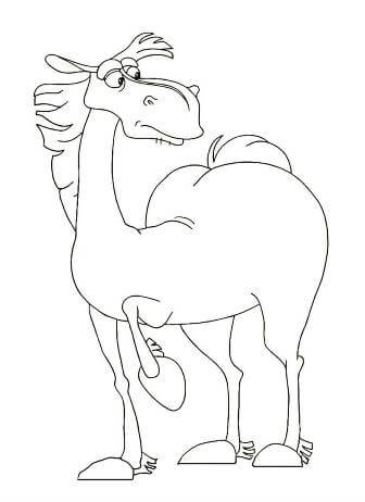 Раскраски Лошадь Лошадь