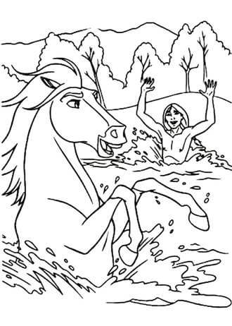 Раскраски Лошадь Лошадь