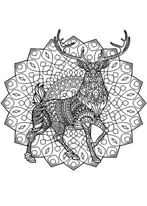 Раскраски Новогодний олень Новогодний олень раскраска 10