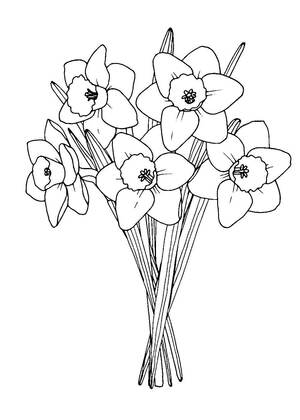 Новруз – раскраска 9