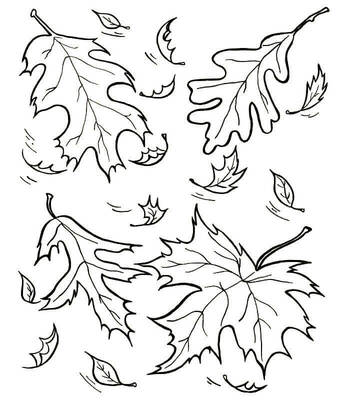 Раскраски Осень Осень — раскраска 12